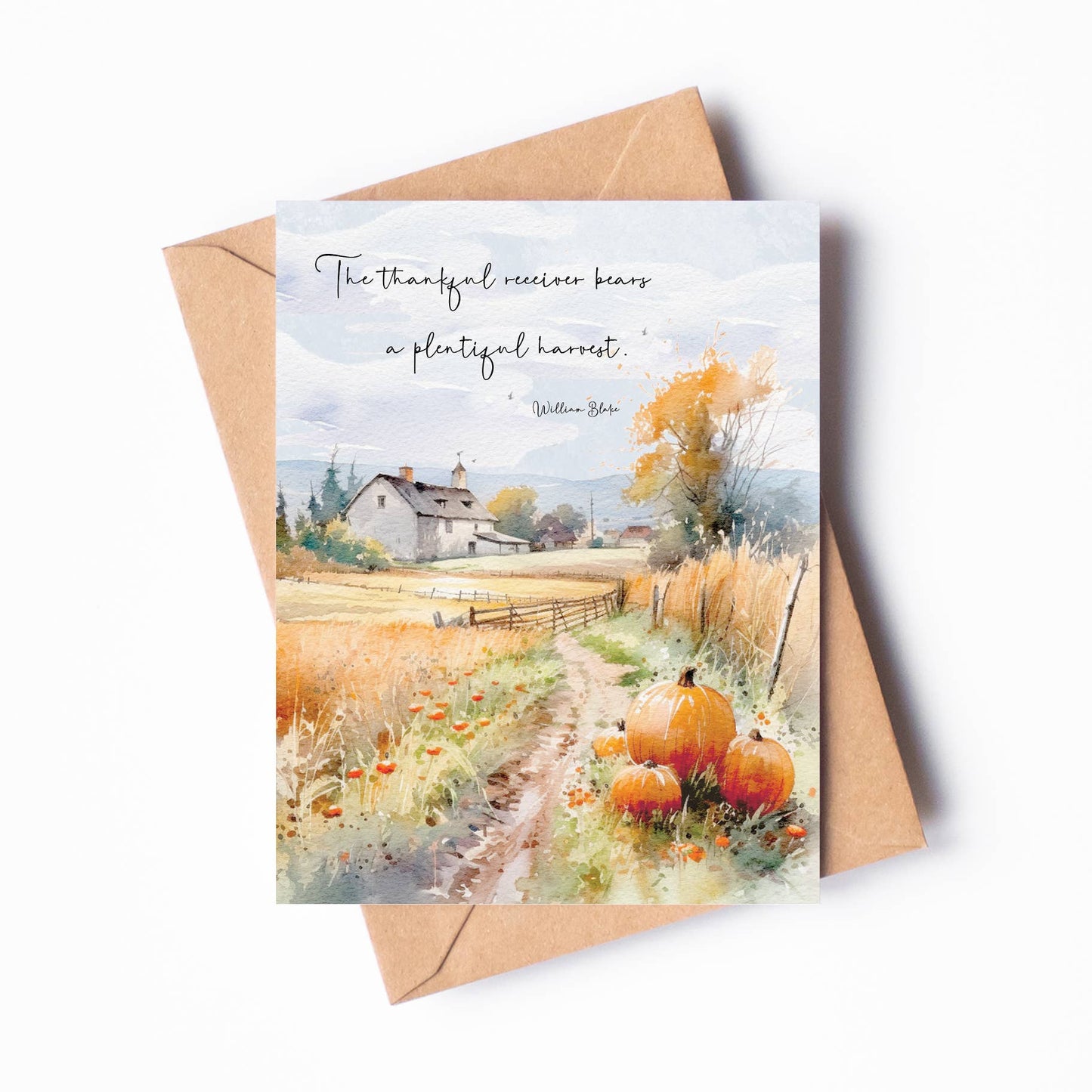 Pumpkin Fields Thanksgiving Card