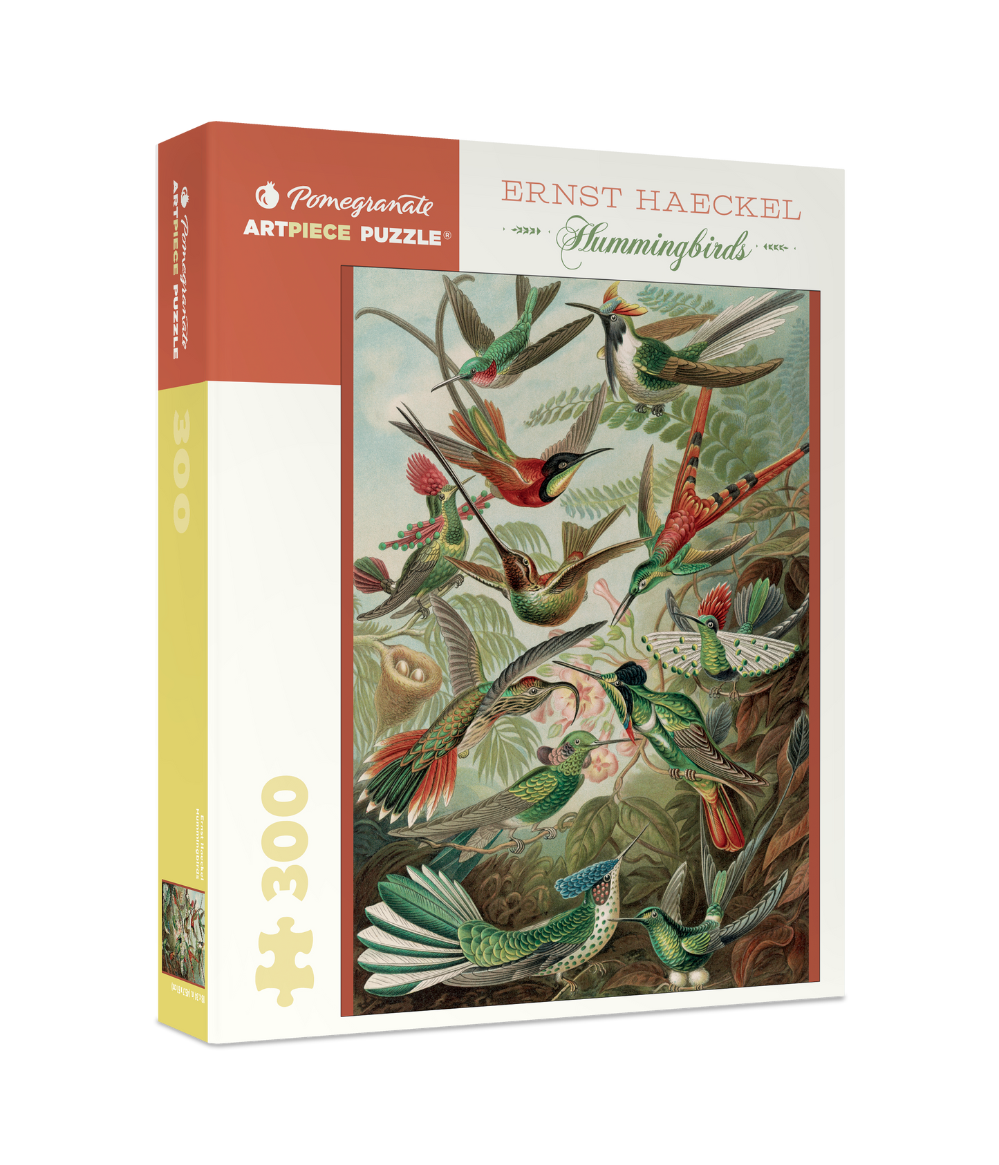 Ernst Haeckel: Hummingbirds Jigsaw Puzzle - 300pc