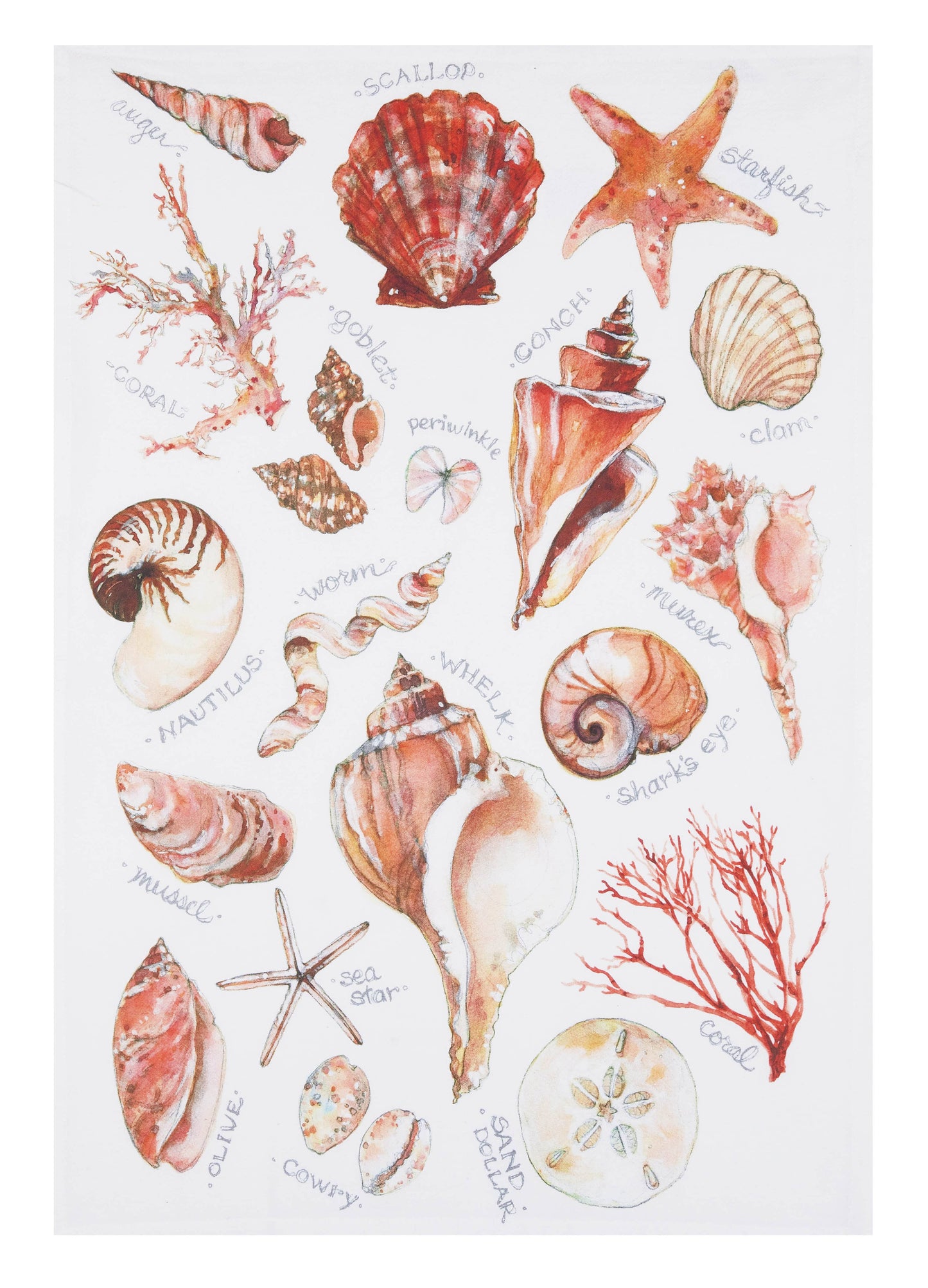 Field Guide to Seashells Tea Towel