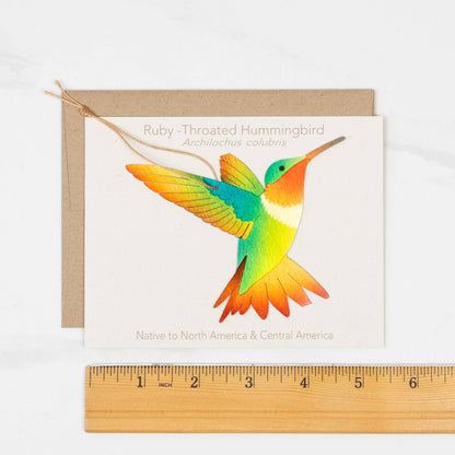 Ruby-Throated Hummingbird Ornament + Notecard