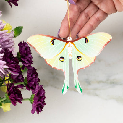 Luna Moth Ornament + Notecard