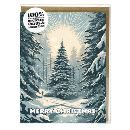 Forest Light Christmas Boxed Cards