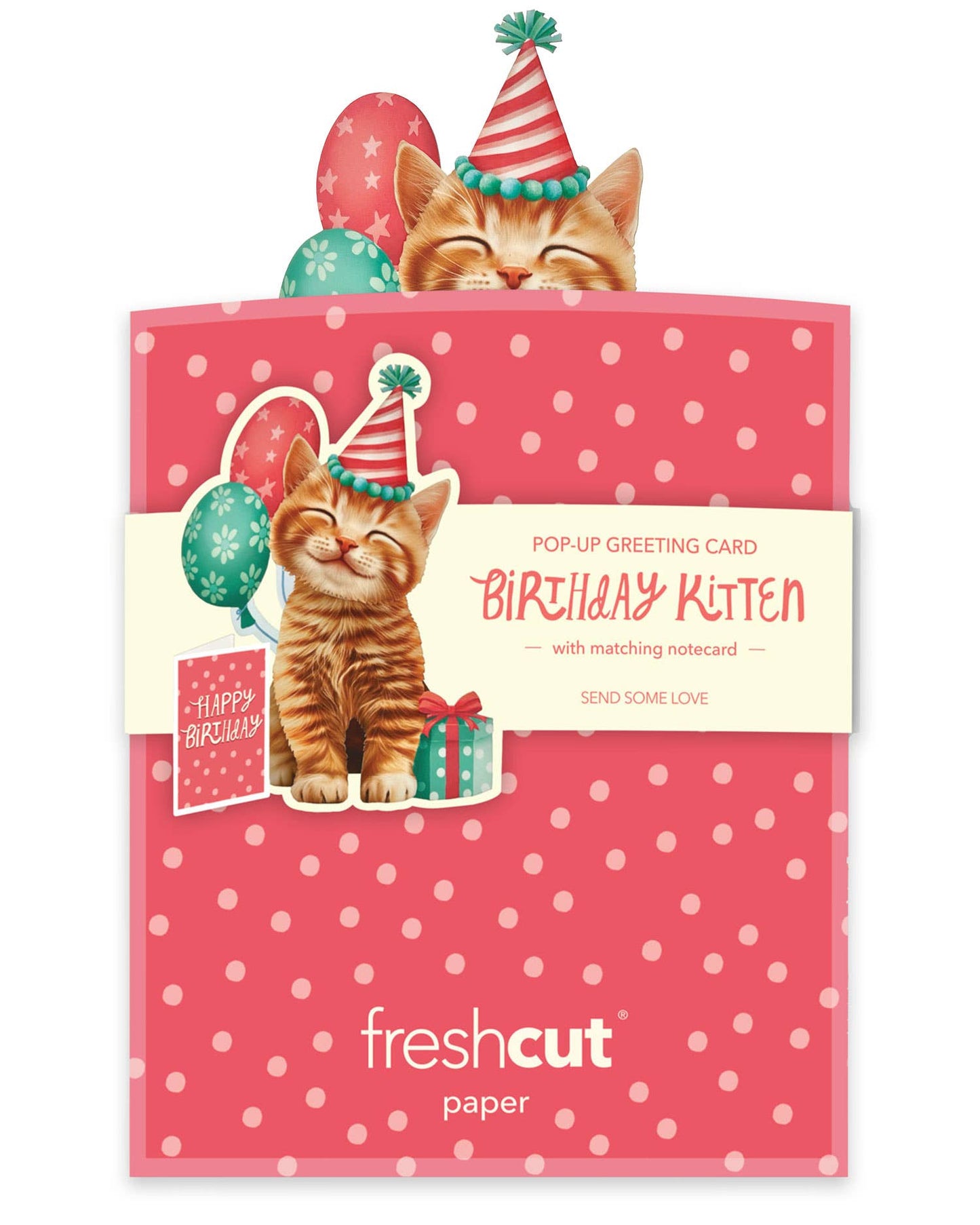 Kitten Party Birthday Pop-Up Card