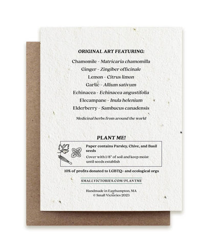 Get Well Soon Mortar and Pestle Plantable Herb Seed Card