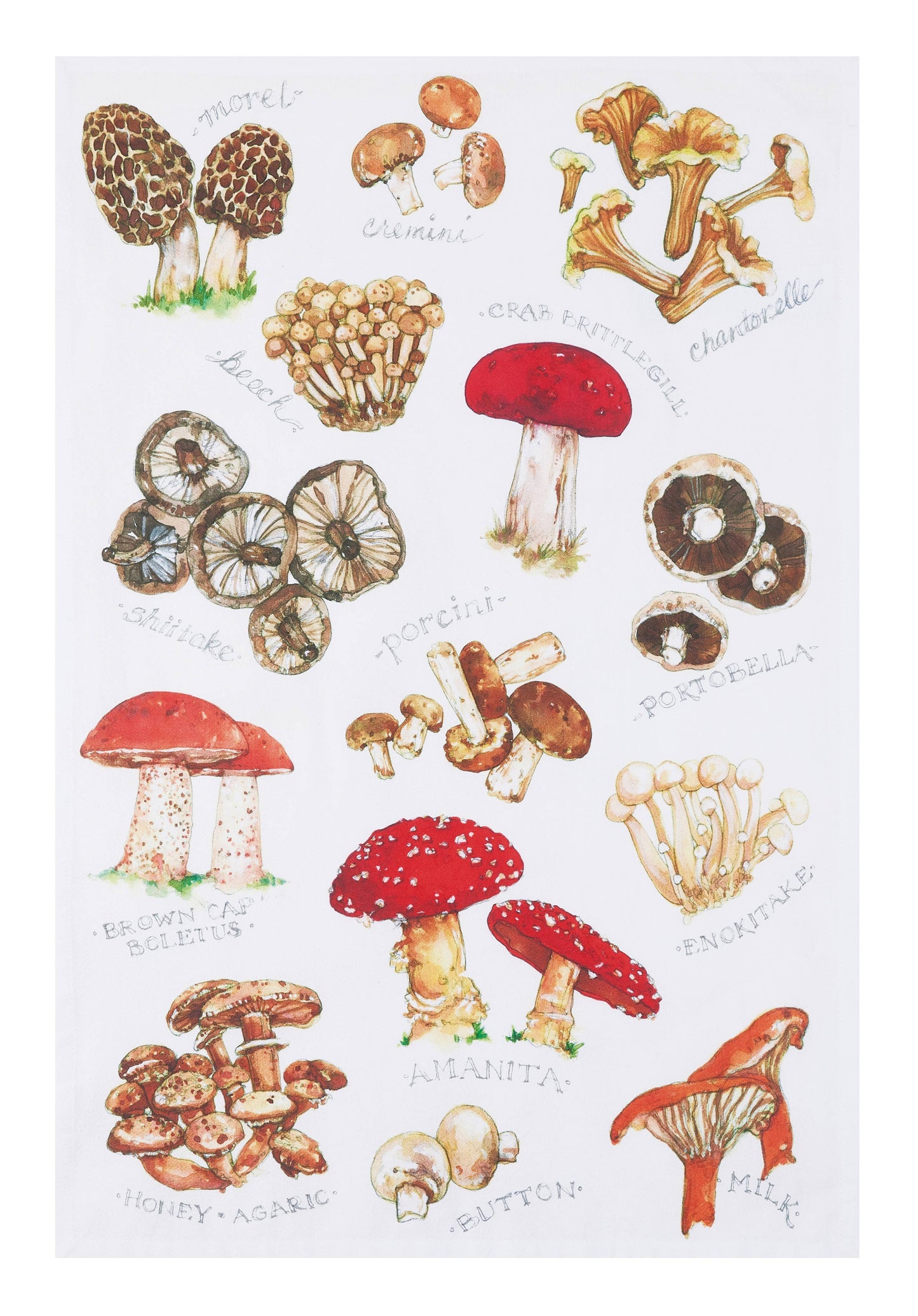 Field Guide to Mushrooms Tea Towel