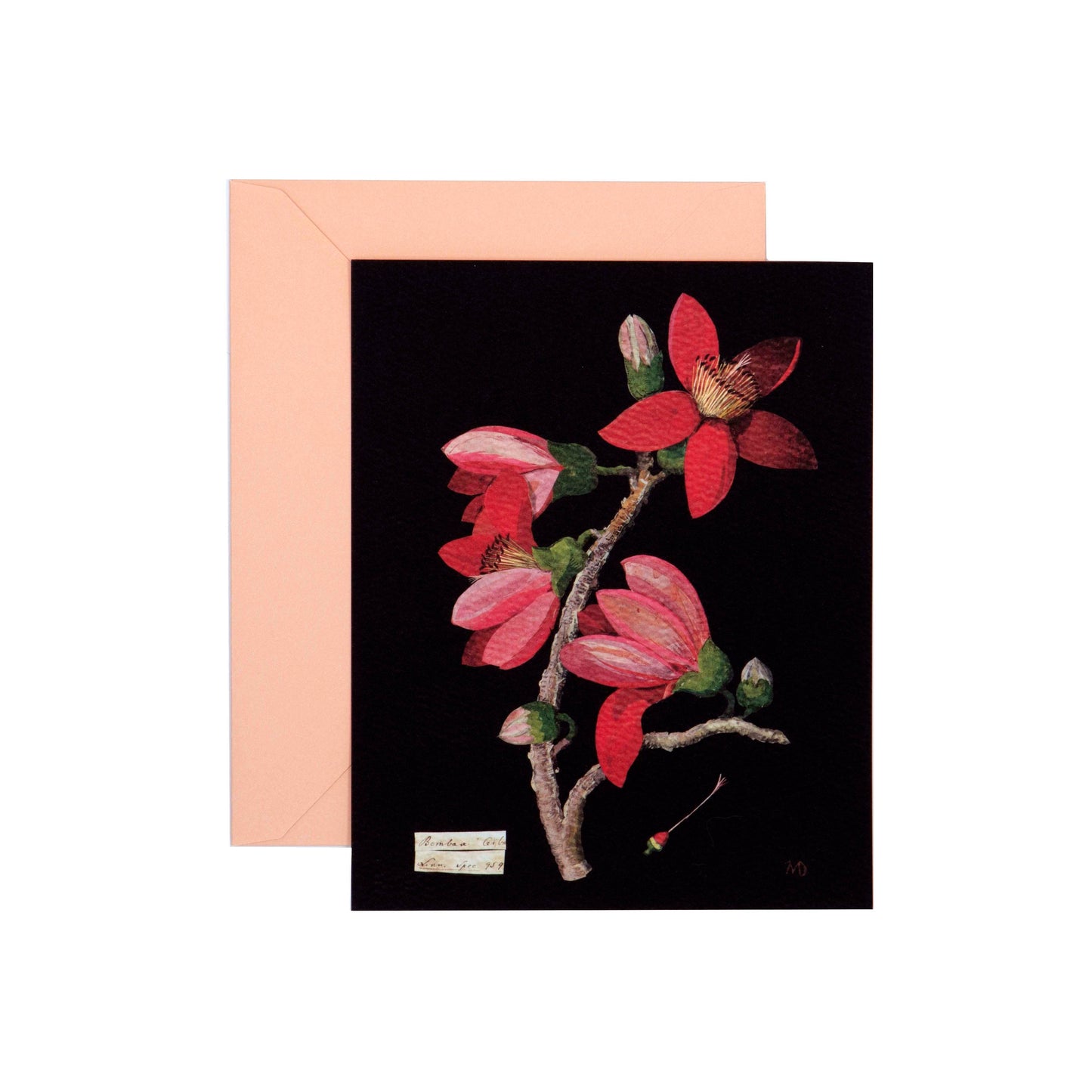 Paper Flowers Flat Cards