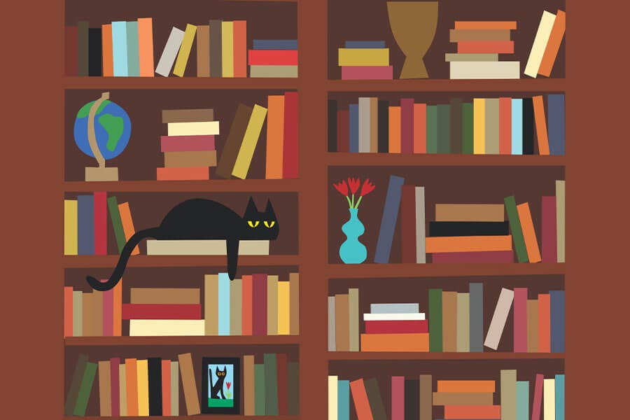 Bookcase Micro Puzzle - 150pc