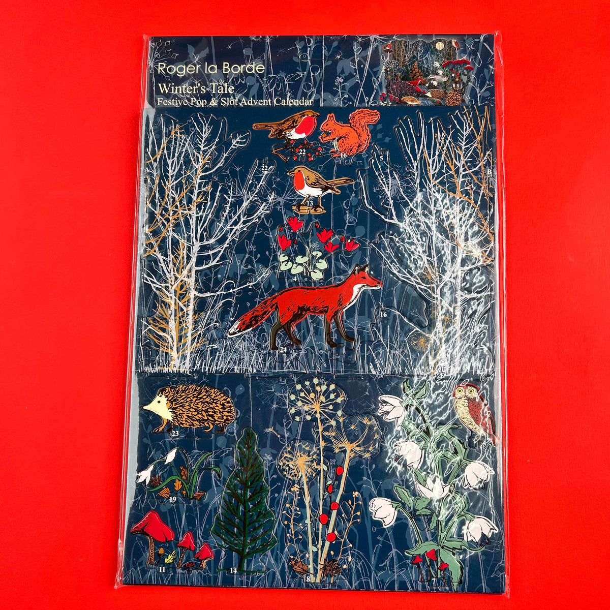 Winter's Tale Pop & Slot Large Advent Calendar