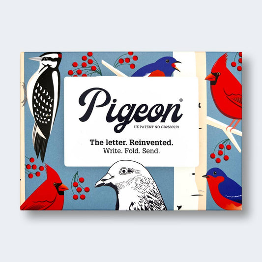 Carnival of Colour Pigeon Folding Letter Pack