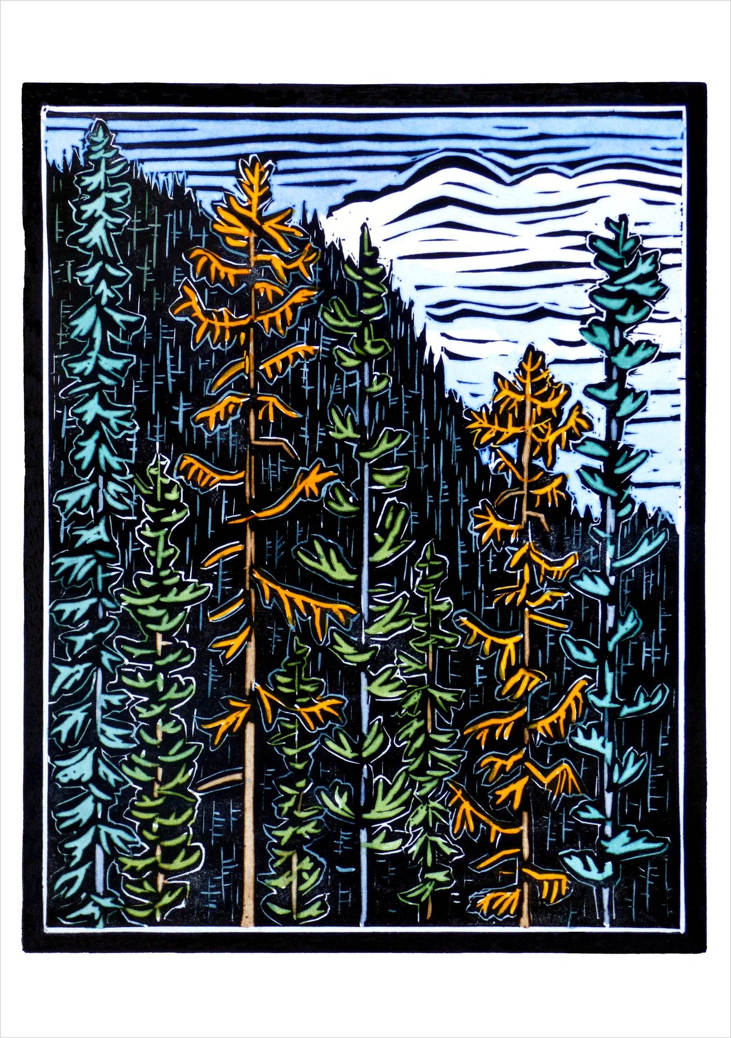 Molly Hashimoto: Trees Assroted Boxed Note Cards