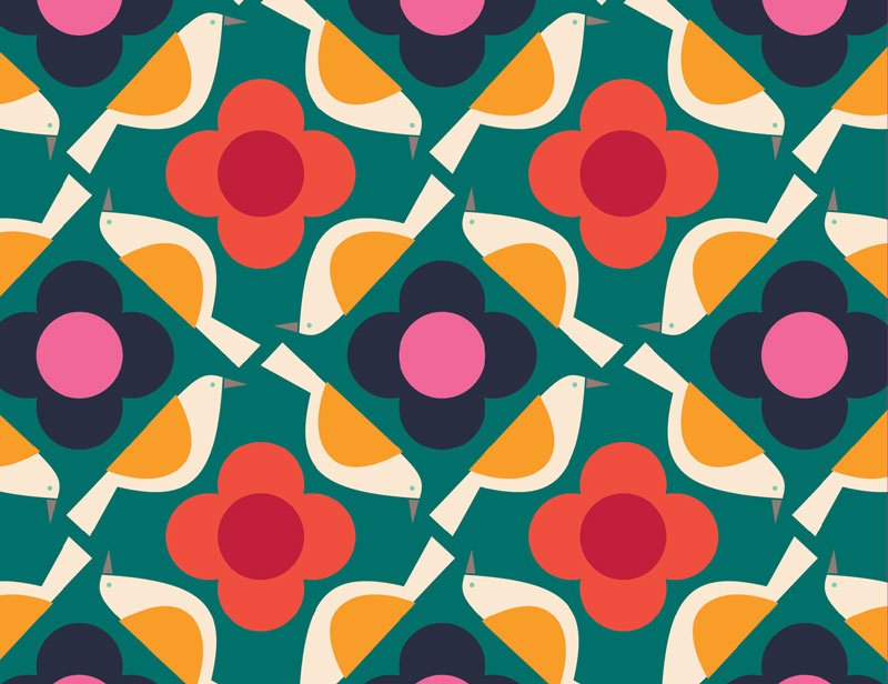 Colorful Birds Assorted Blank Notes