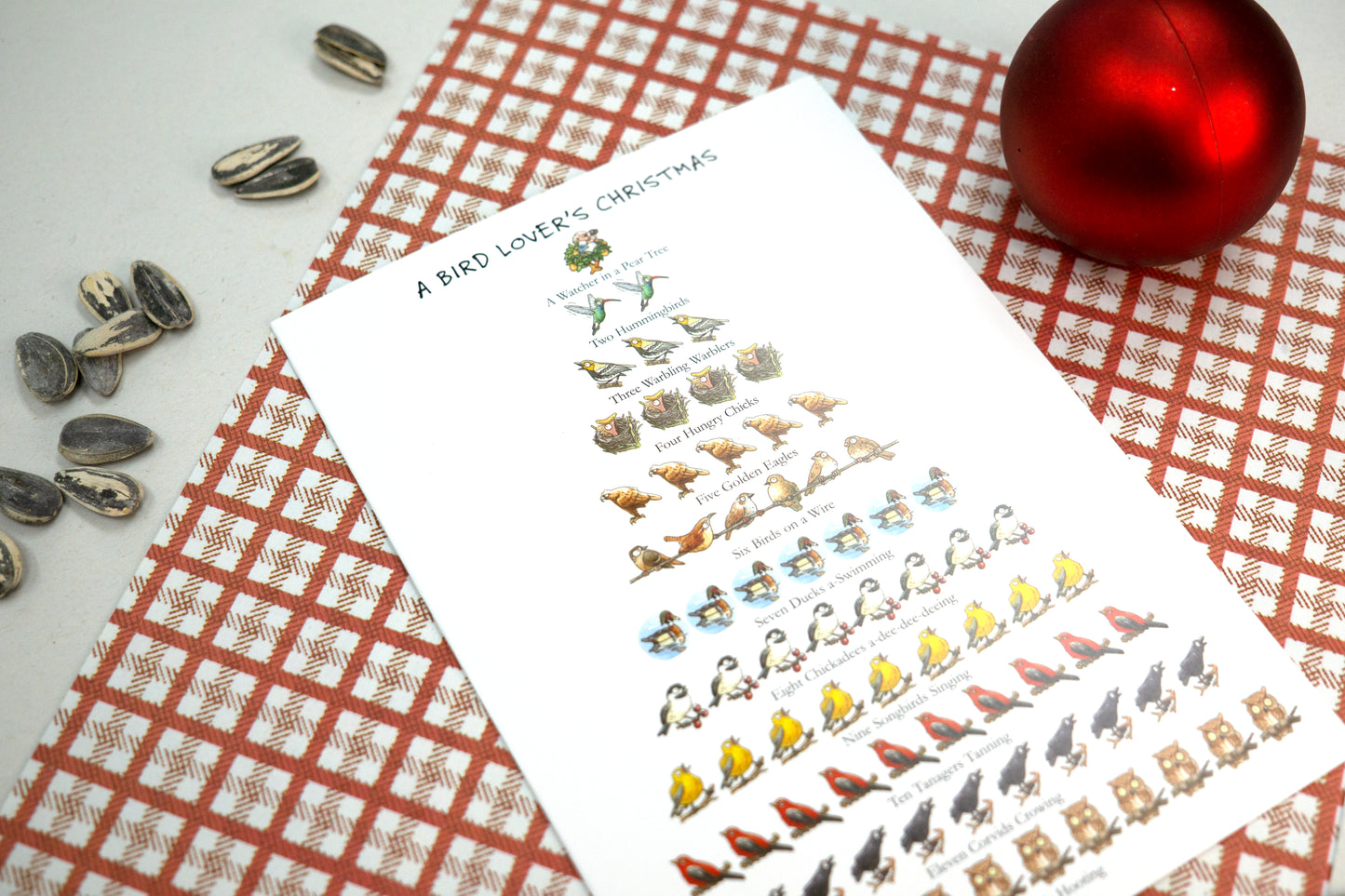 Bird Lover's Christmas 12-Days Holiday Card
