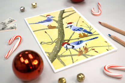 Blue Jays in Boots Holiday Card