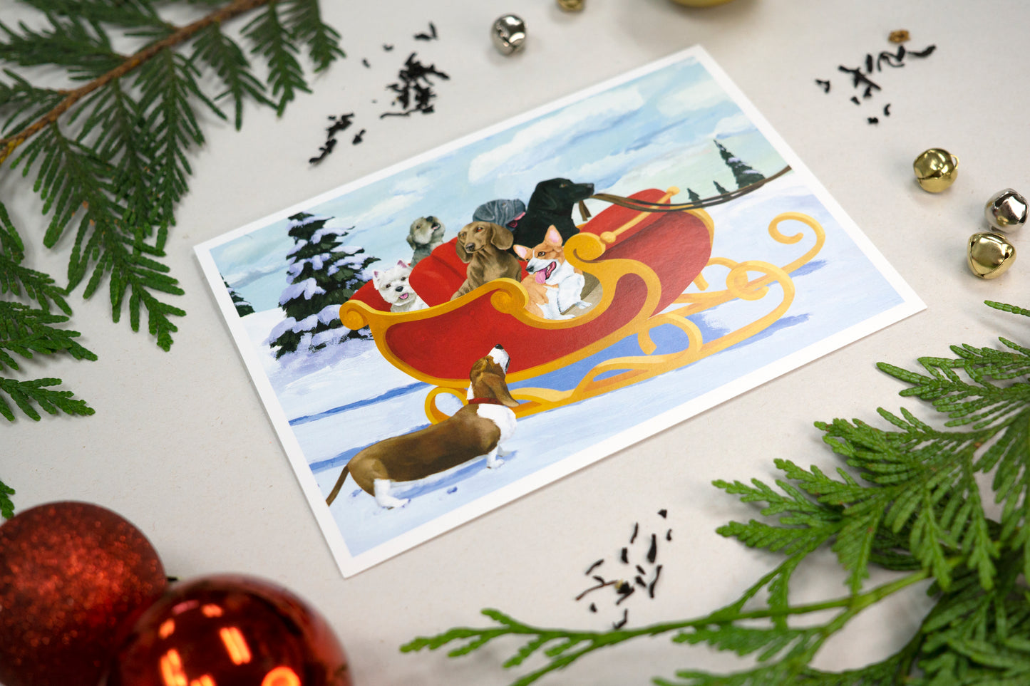 Dogs in Sled Holiday Card