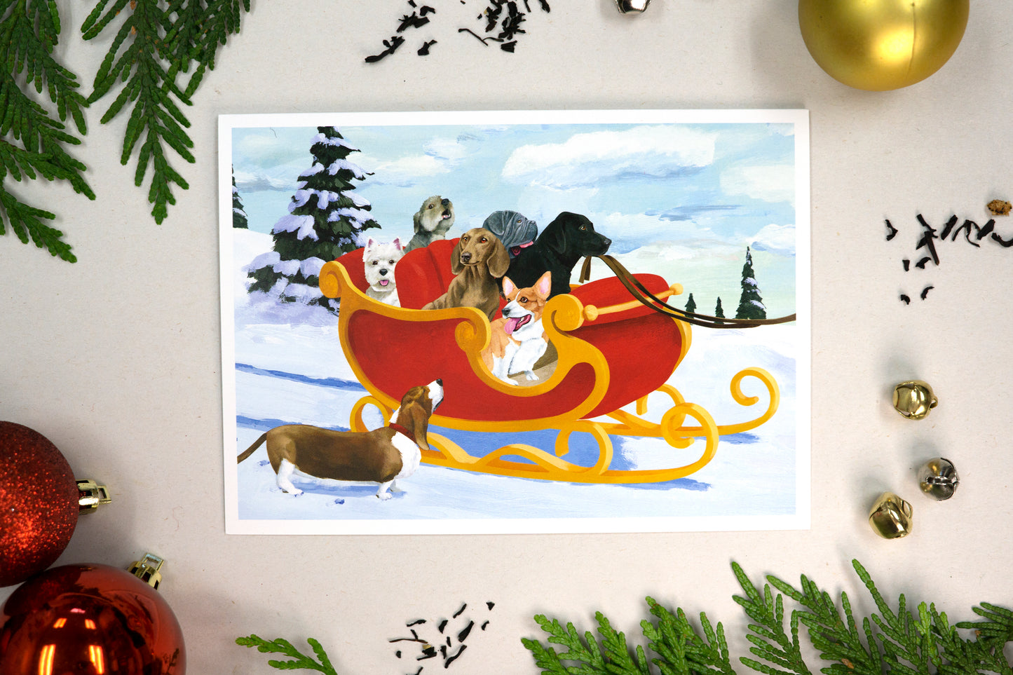Dogs in Sled Holiday Card
