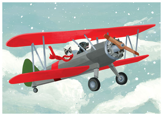 Cat and Dog Airplane Holiday Cards