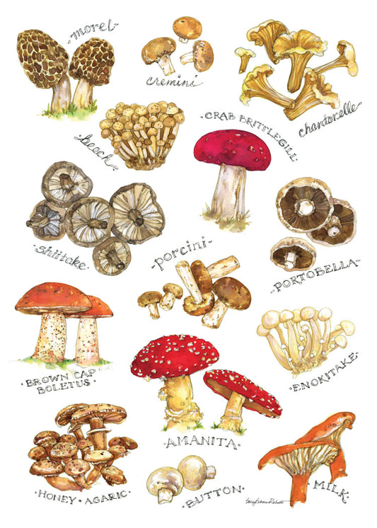 Mushroom Mania Blank Cards