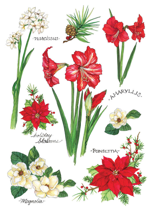 Winter Blossoms Blank Cards