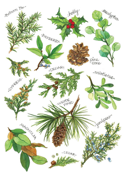 Winter Foliage Holiday Cards