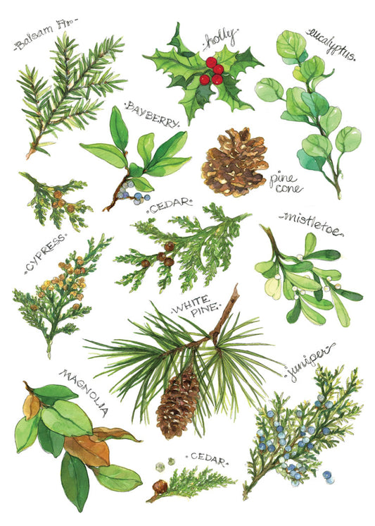 Winter Foliage Blank Cards