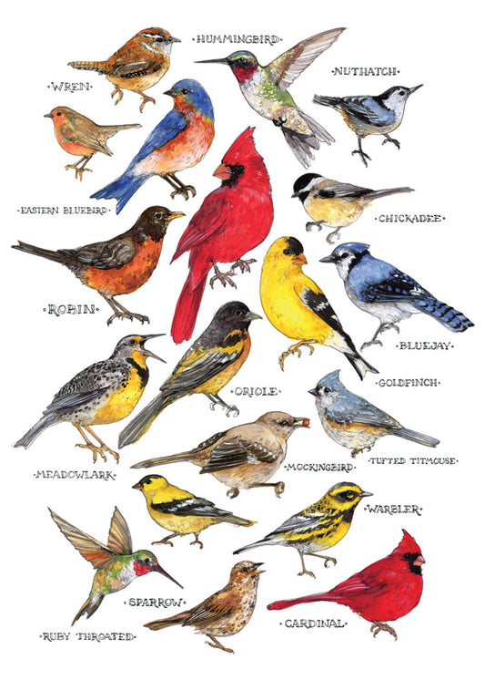 Songbirds Blank Cards