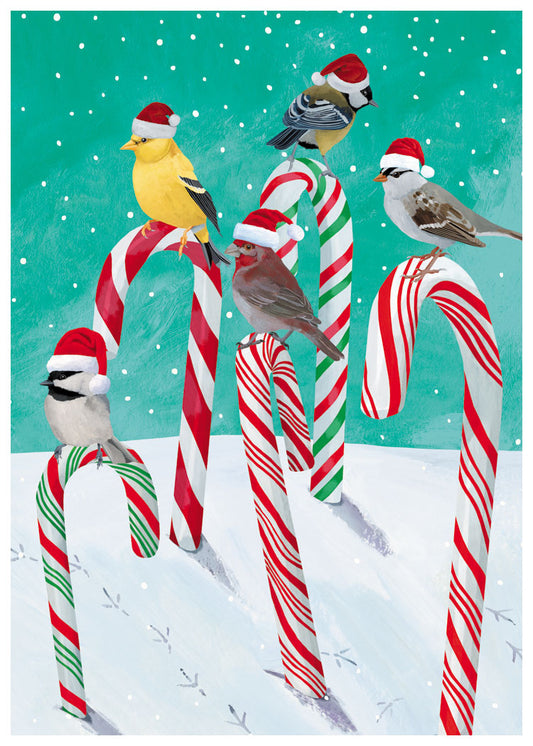 Candy Cane Birds Holiday Cards