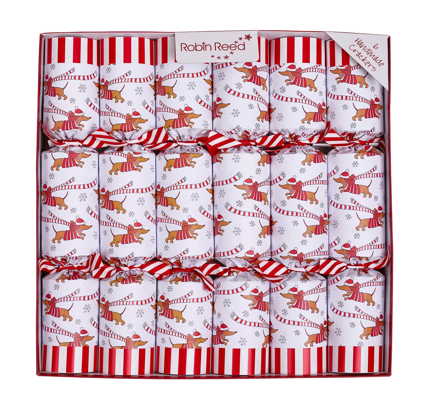 Racing Sausage Dogs Christmas Crackers
