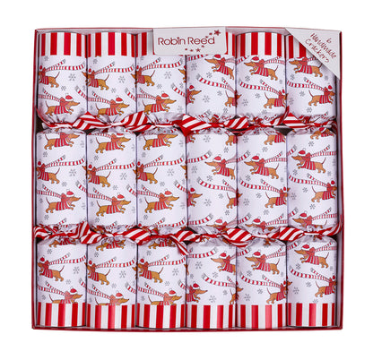 Racing Sausage Dogs Christmas Crackers