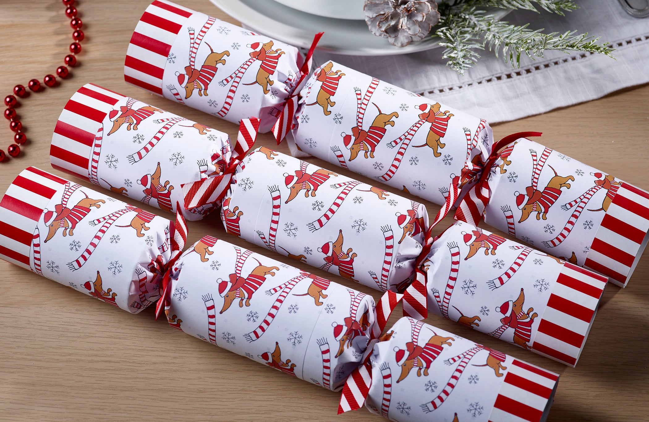 Racing Sausage Dogs Christmas Crackers – Allport Editions