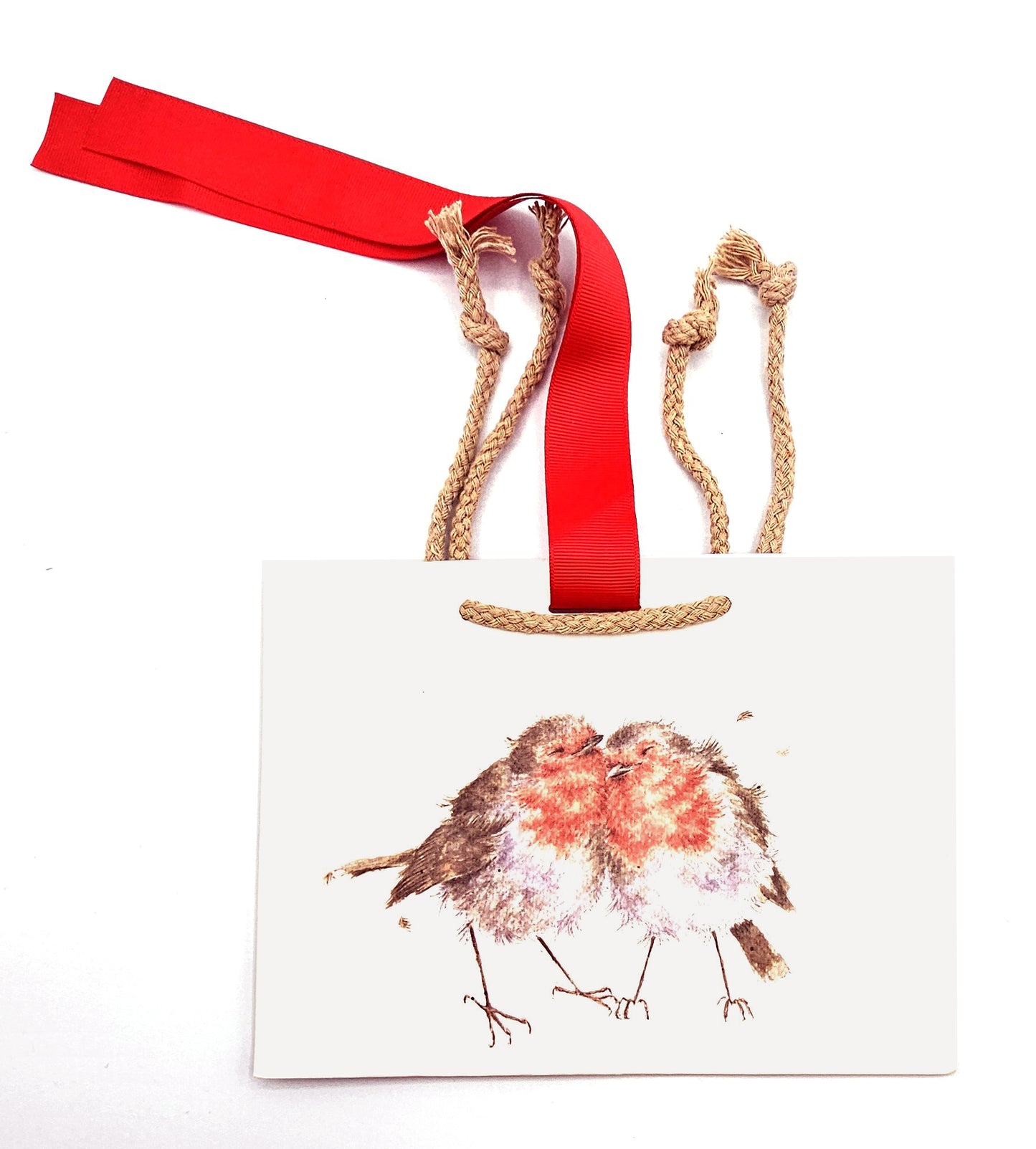 Snuggled Robins Small Gift Bag