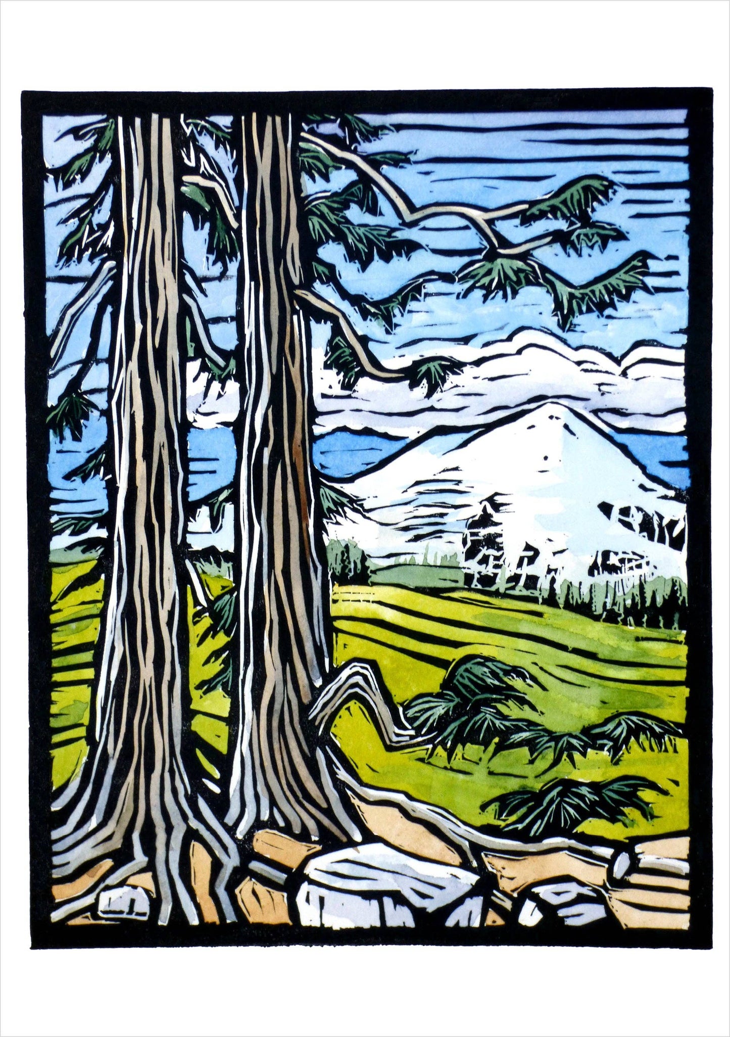 Molly Hashimoto: Trees Assroted Boxed Note Cards