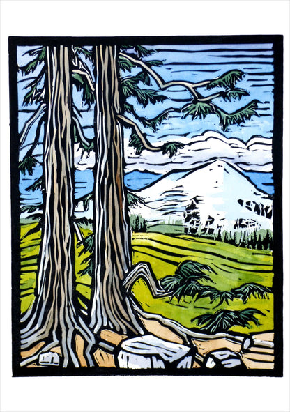 Molly Hashimoto: Trees Assroted Boxed Note Cards