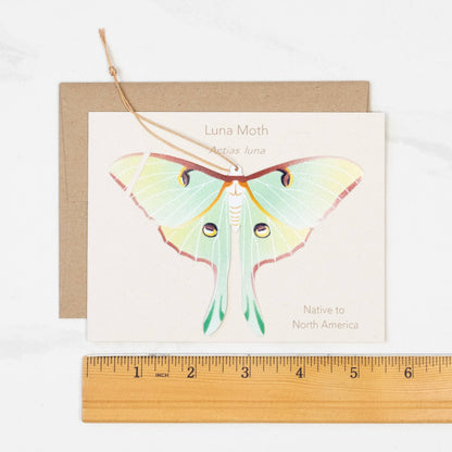 Luna Moth Ornament + Notecard