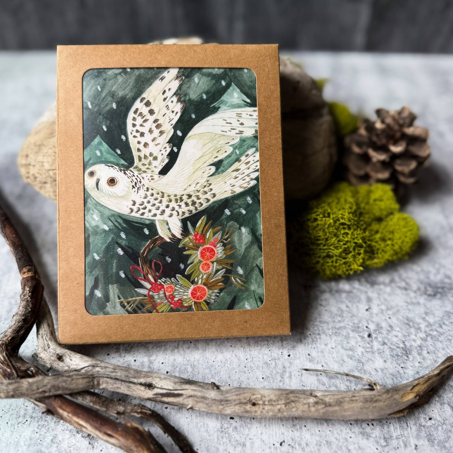 Festive Owl Boxed Holiday Cards