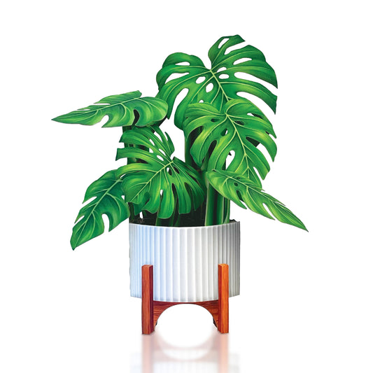 Monstera Plant Pop-Up Bouquet & Card