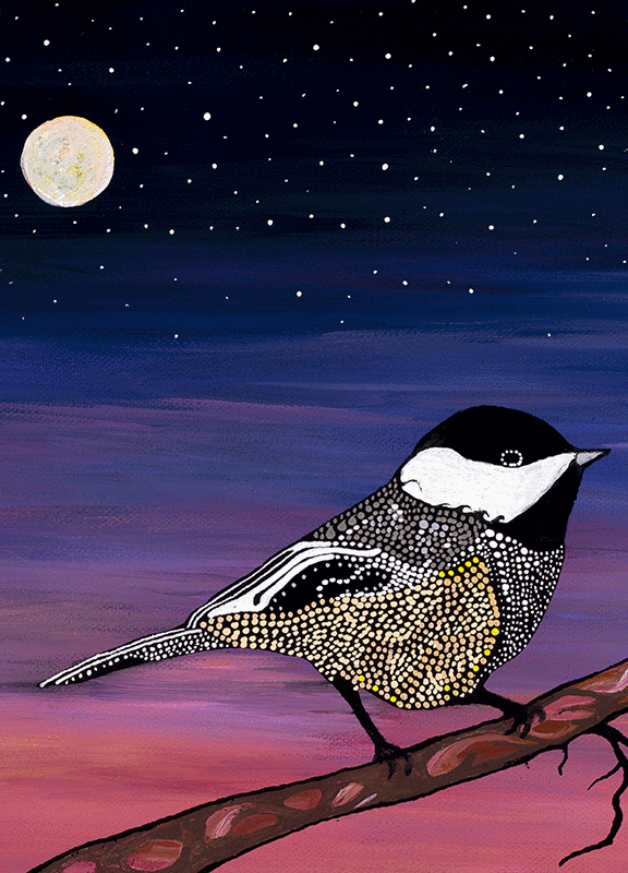 Birds in Twilight Assorted Boxed Note Cards