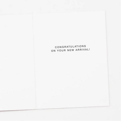 Stork Oh Baby New Baby Greeting Card