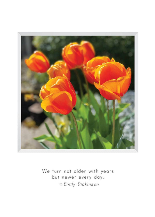 Glowing Birthday Card & Bookmark