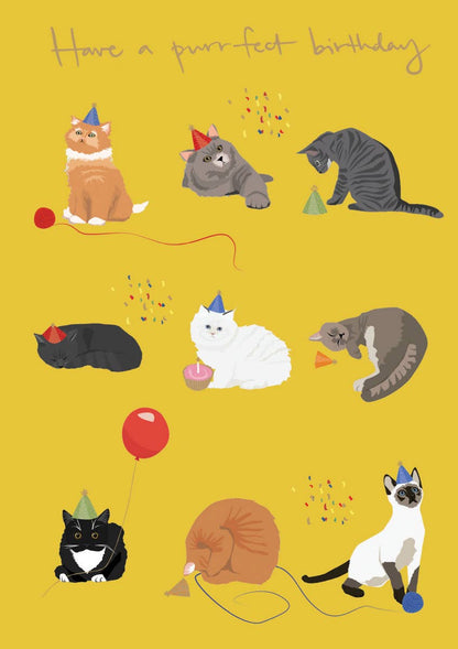 Nine Cats Birthday Card