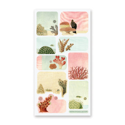 Coral Labels Sticker Sheet