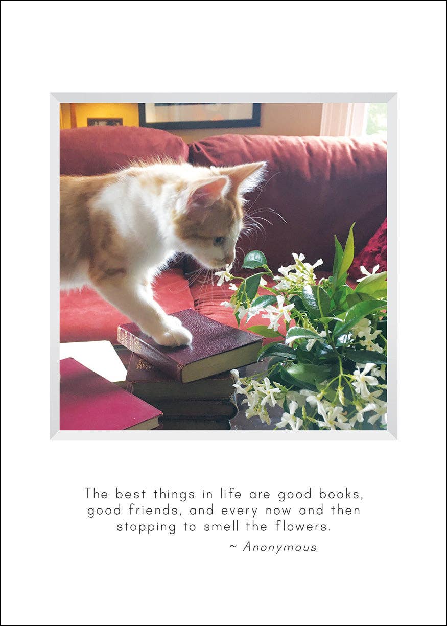 Buttercup Birthday Card & Bookmark
