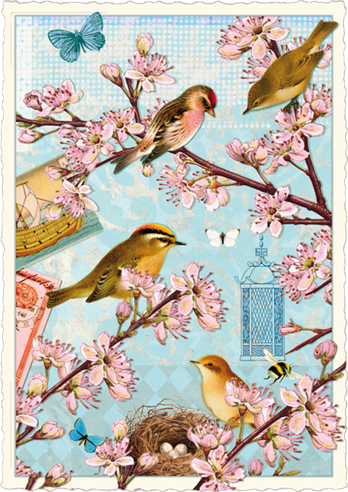 Vintage Cherry Blossoms Postcard