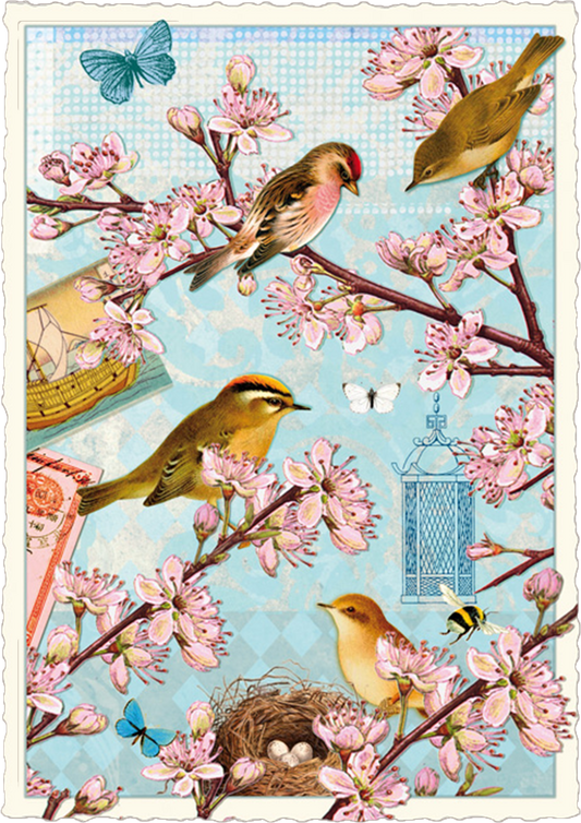 Vintage Cherry Blossoms Postcard
