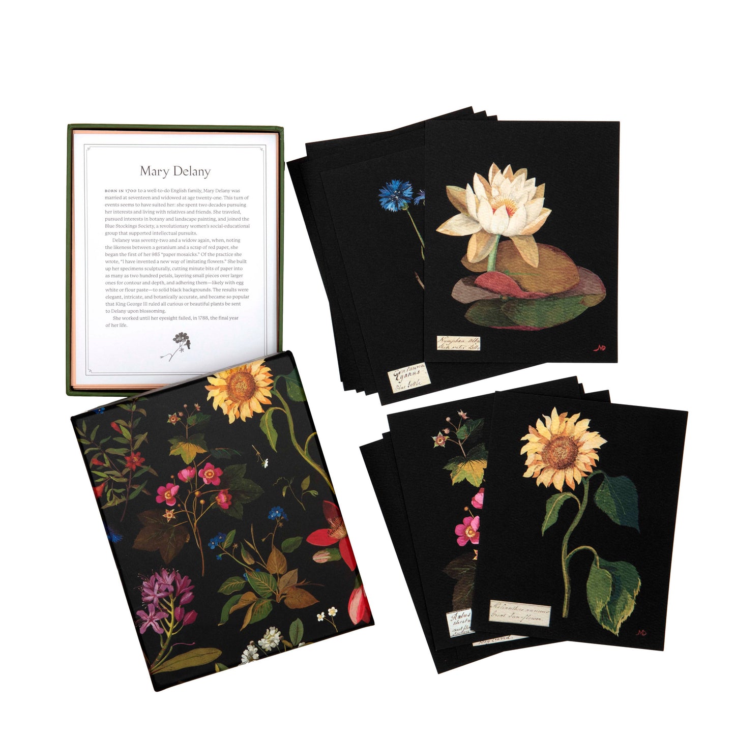 Paper Flowers Flat Cards