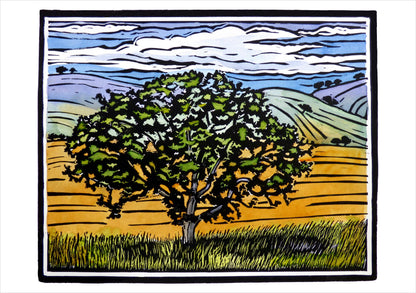 Molly Hashimoto: Trees Assroted Boxed Note Cards