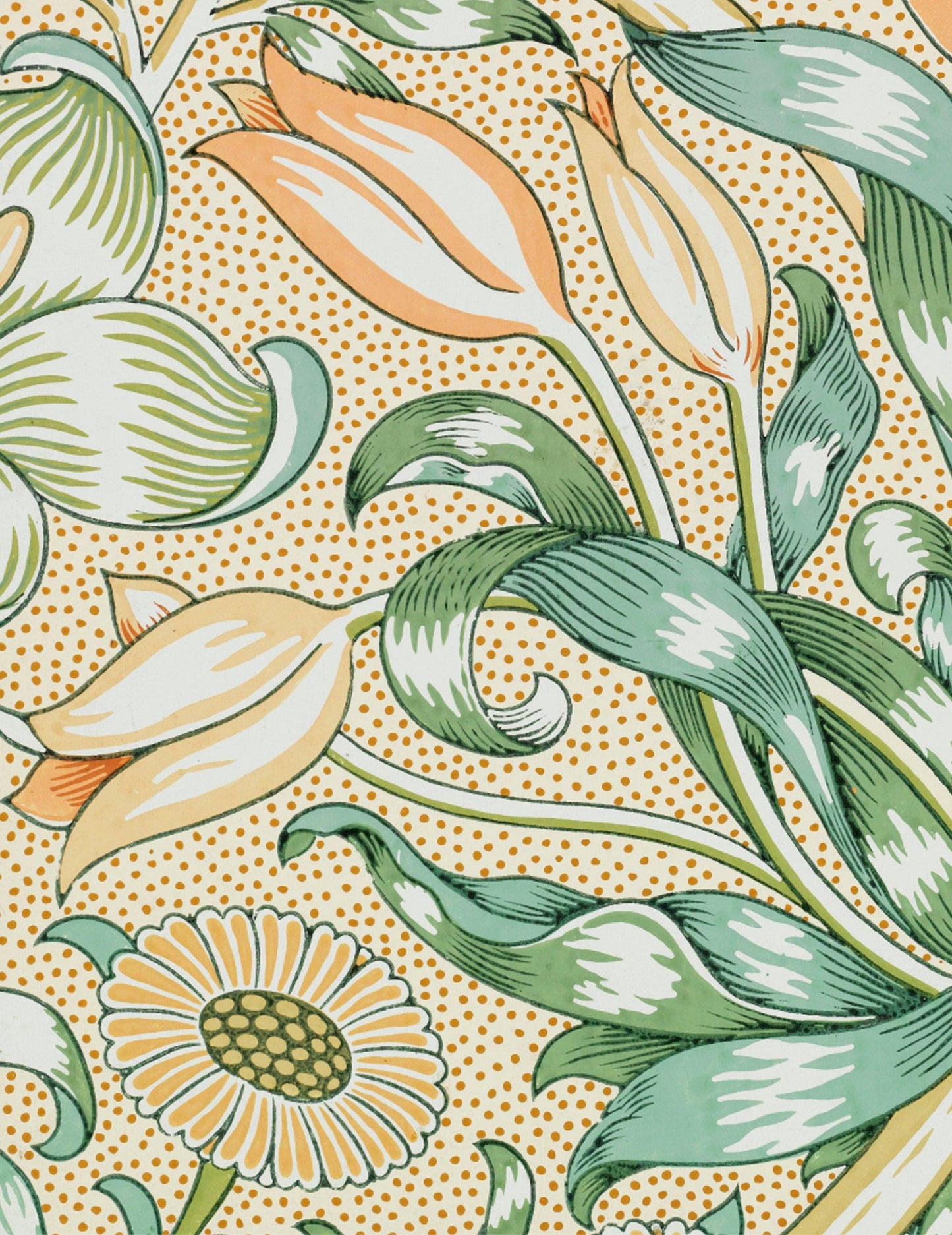 William Morris Keepsake Boxed Note Cards