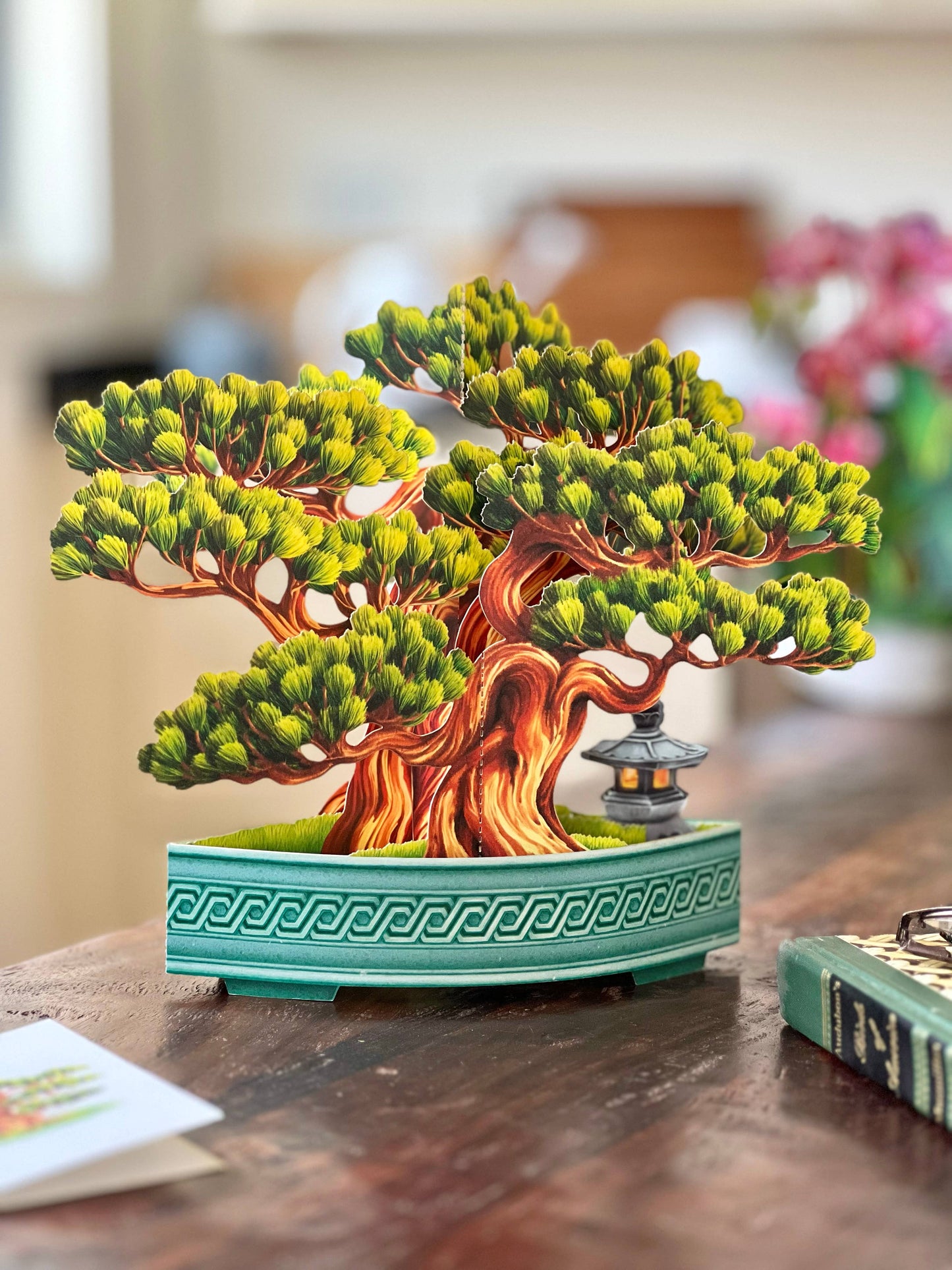 bonsai tree card Wisdom Bonsai Pop-Up Bouquet & Card