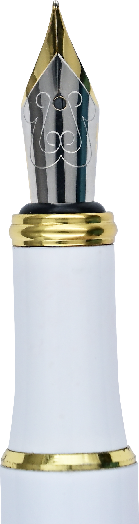 Amalfi Lemons Fountain Pen