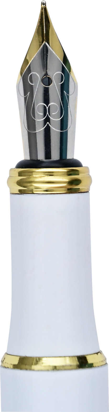 Amalfi Lemons Fountain Pen