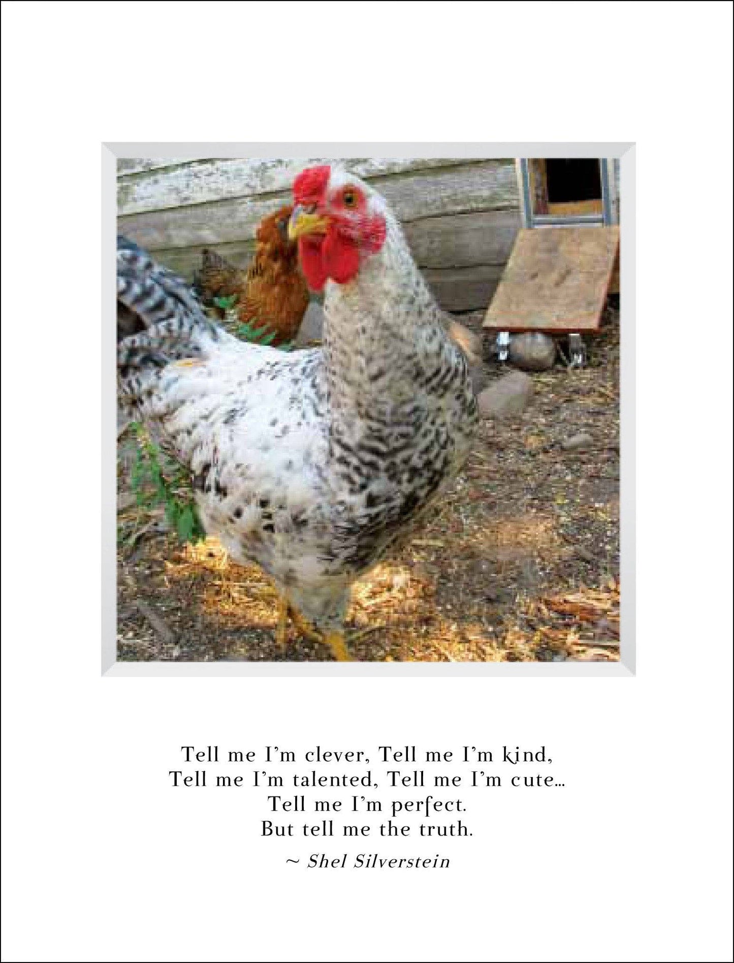 Strut Your Stuff Birthday Card & Bookmark